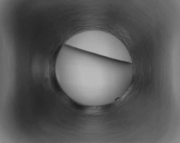 X0000101090179200806261109