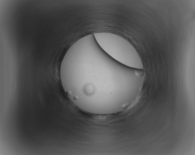 X0000101090187200806261110