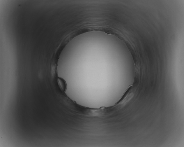 X0000101090188200806261110