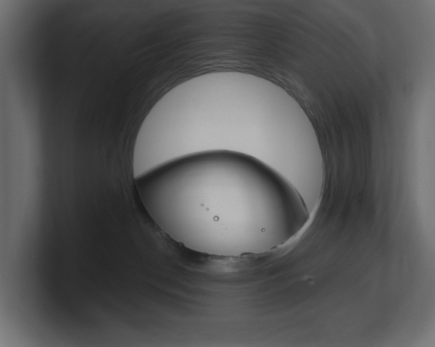 X0000101090190200806261110