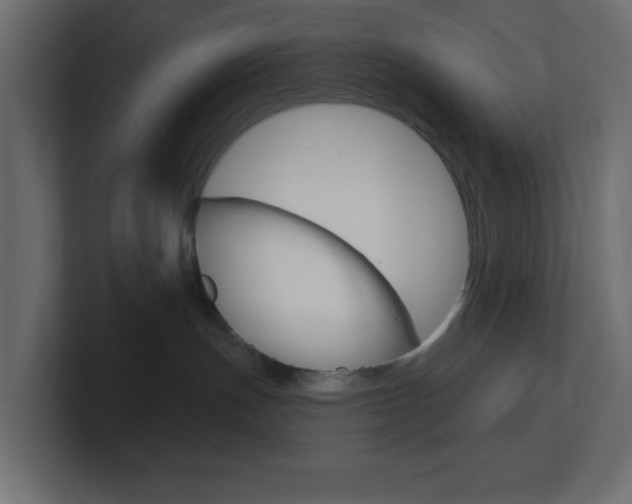 X0000101090191200806261110