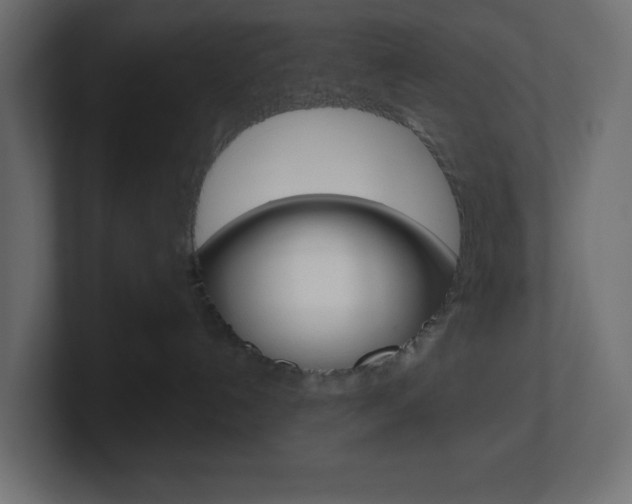 X0000101090192200806261110