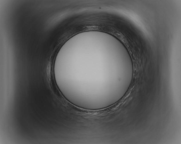 X0000101090194200806261109