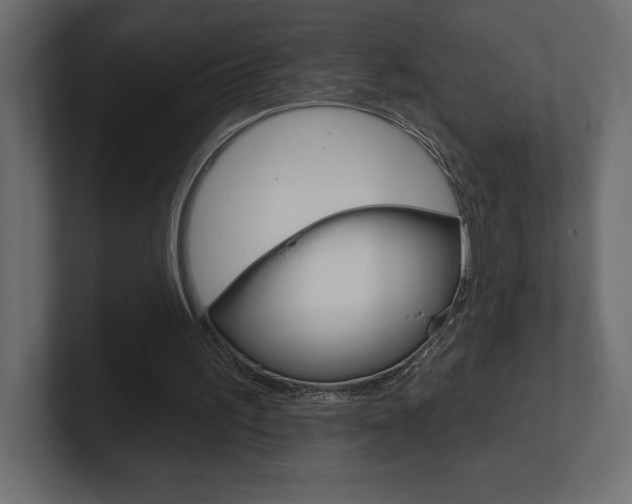 X0000101090195200806261109