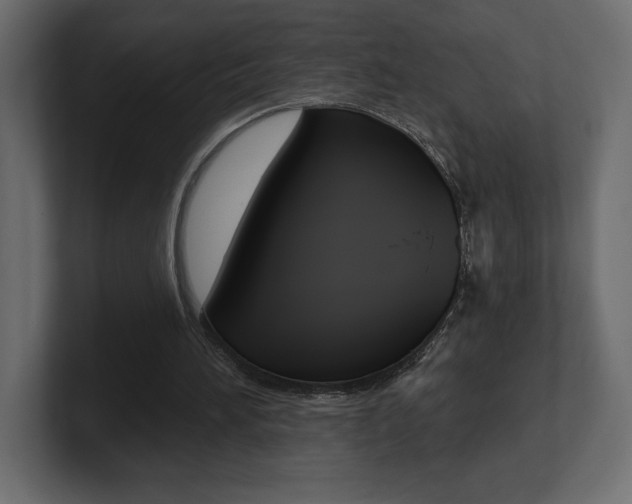 X0000101090196200806261109