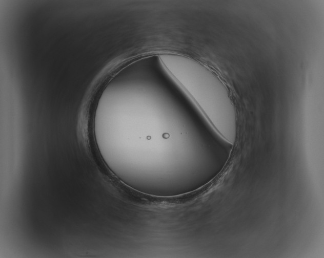 X0000101090197200806261109