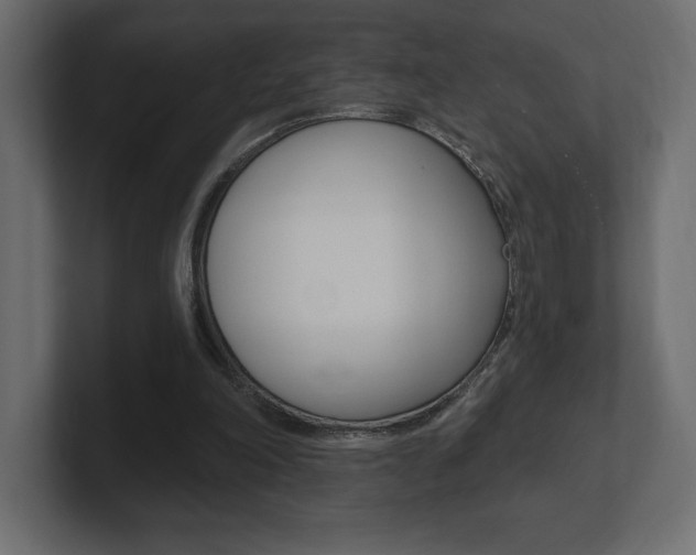 X0000101090198200806261109