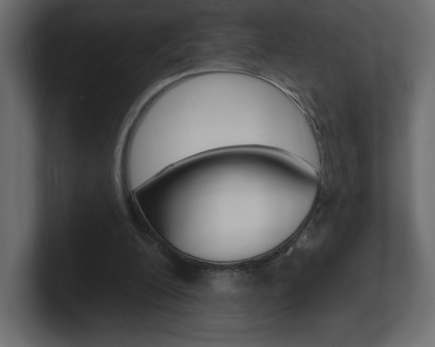 X0000101090200200806261109