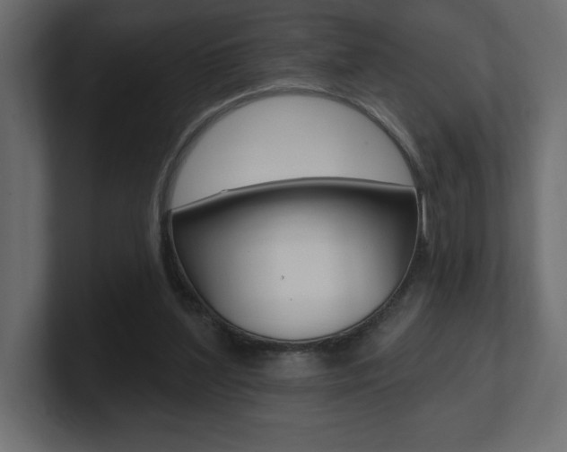 X0000101090204200806261109