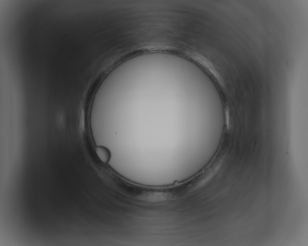 X0000101090205200806261109