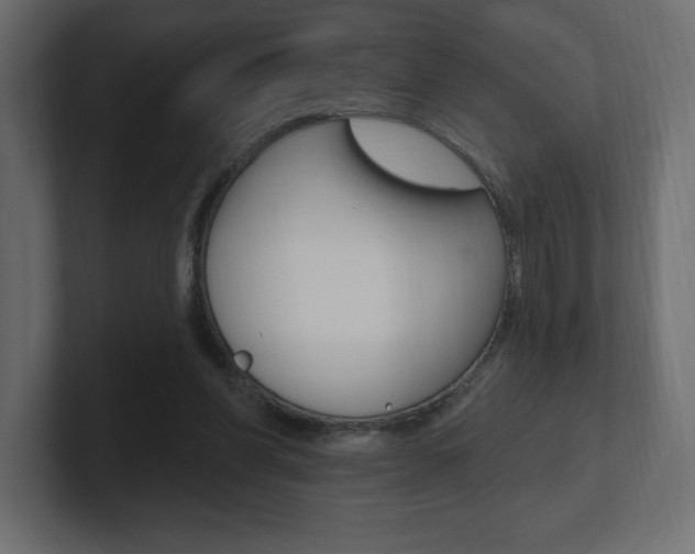 X0000101090206200806261109