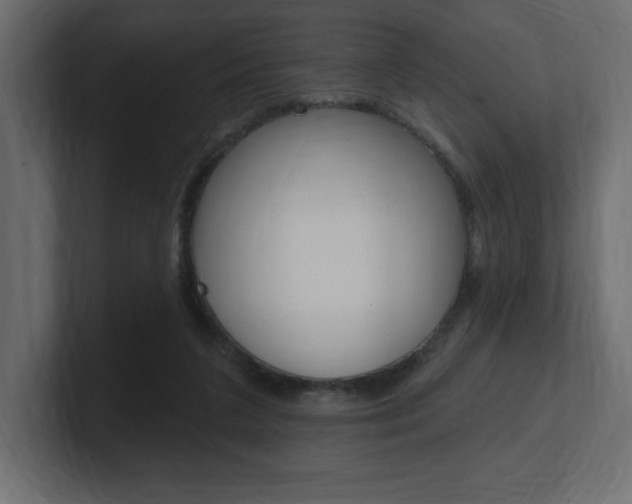 X0000101090211200806261109