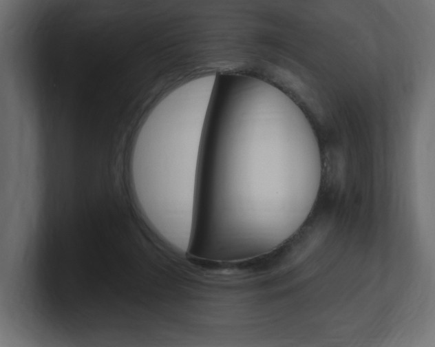 X0000101090212200806261109