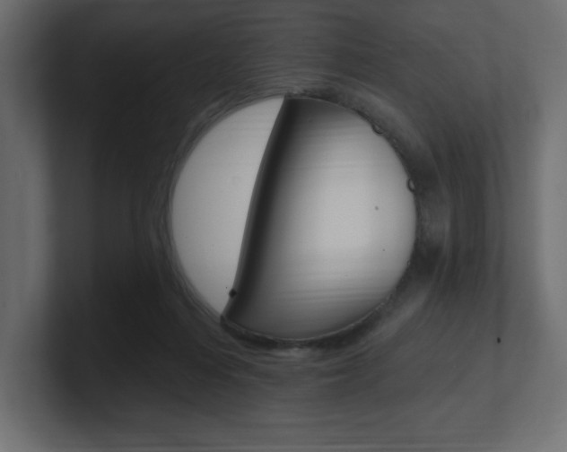 X0000101090216200806261109