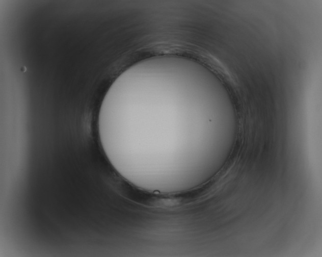 X0000101090217200806261109