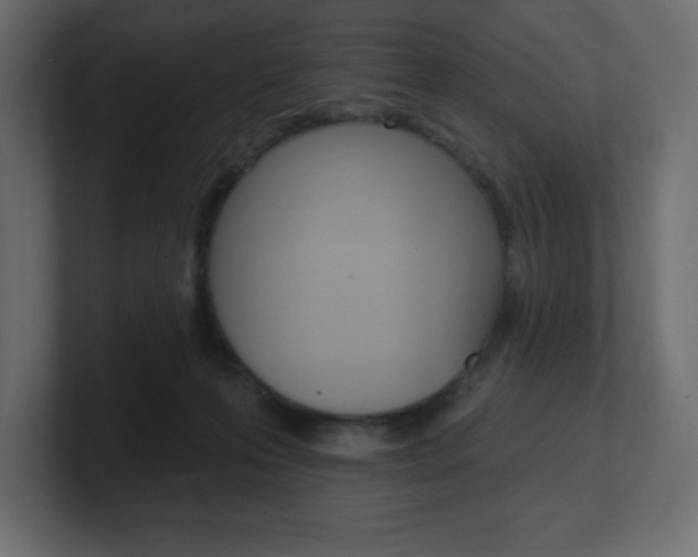 X0000101090223200806261109