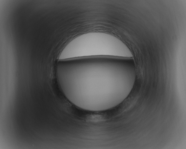 X0000101090224200806261109