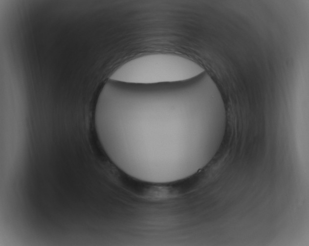 X0000101090227200806261109