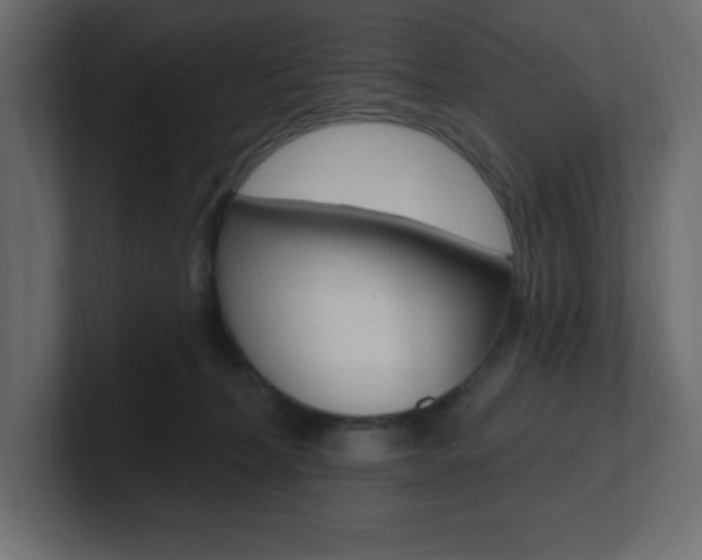 X0000101090228200806261109