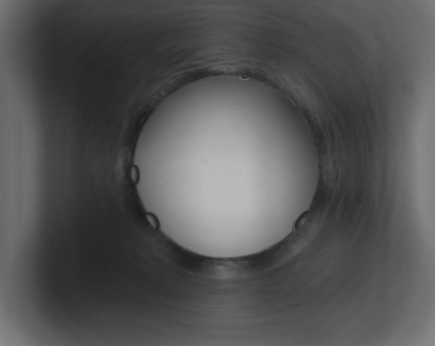 X0000101090229200806261109