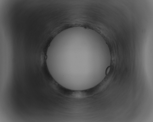 X0000101090231200806261109