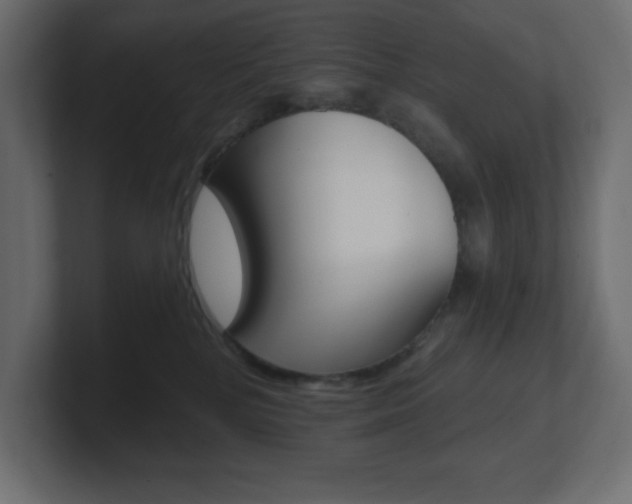 X0000101090232200806261109