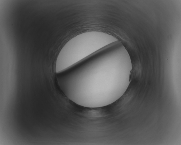 X0000101090236200806261108