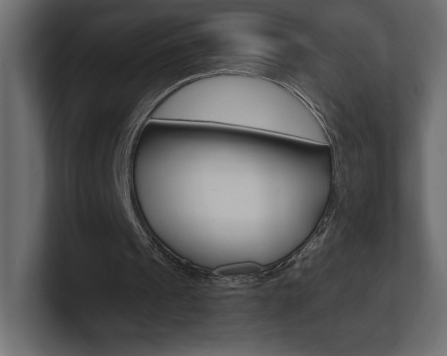 X0000101090241200806261108