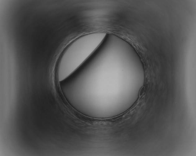 X0000101090242200806261108