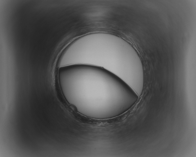 X0000101090243200806261108