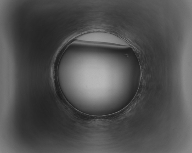 X0000101090244200806261108