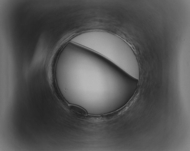 X0000101090245200806261108