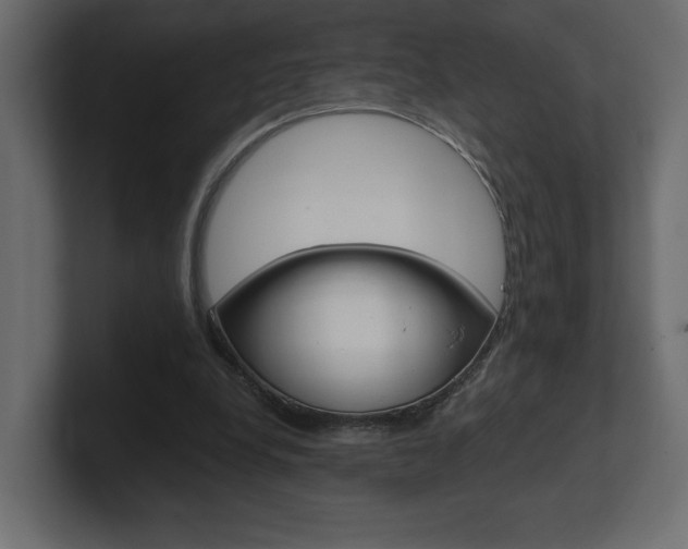 X0000101090248200806261108