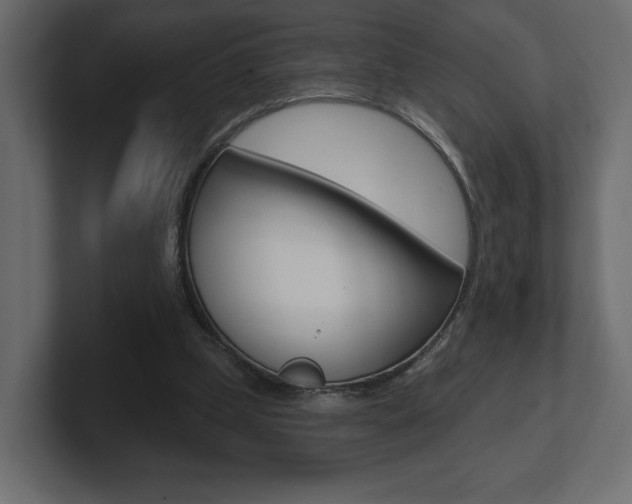 X0000101090249200806261108