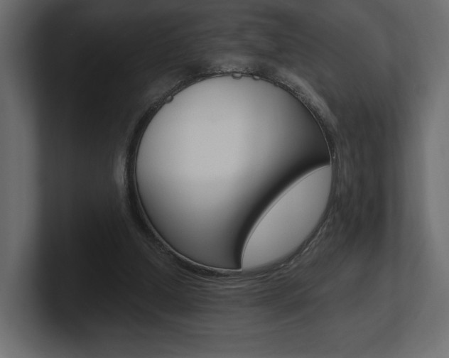 X0000101090250200806261108