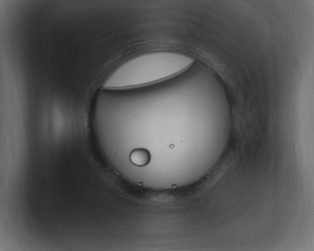 X0000101090258200806261108