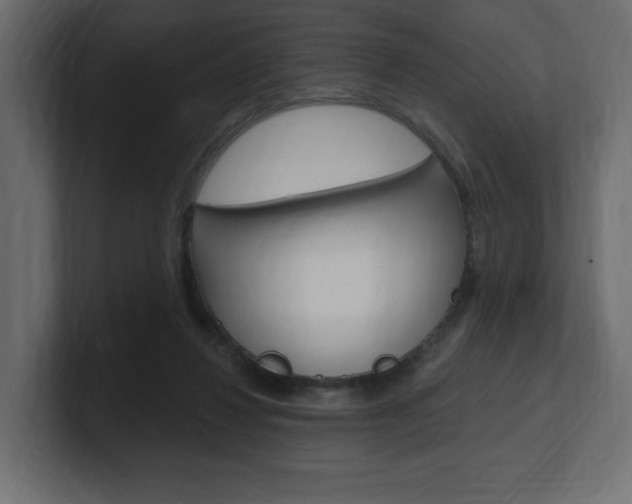 X0000101090260200806261108