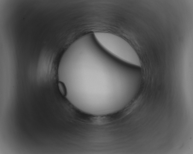 X0000101090273200806261108