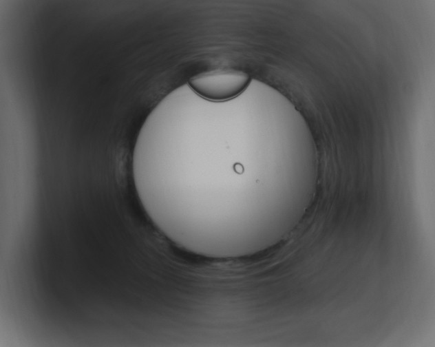 X0000101090275200806261108