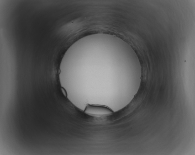 X0000101090279200806261108