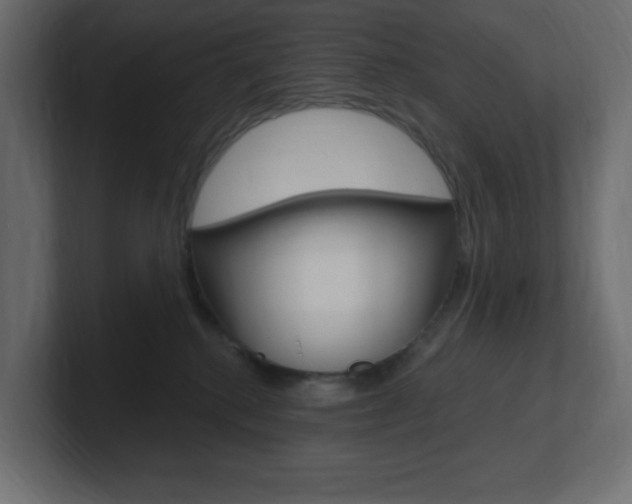 X0000101090280200806261108