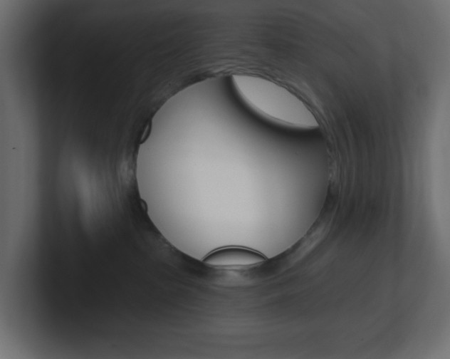 X0000101090285200806261108