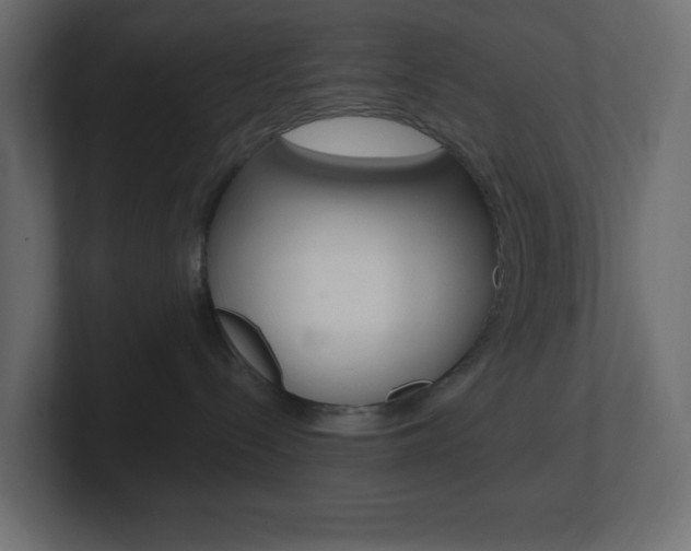 X0000101090288200806261108