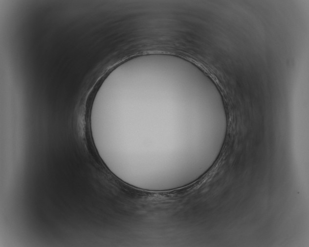 X0000101090290200806261108