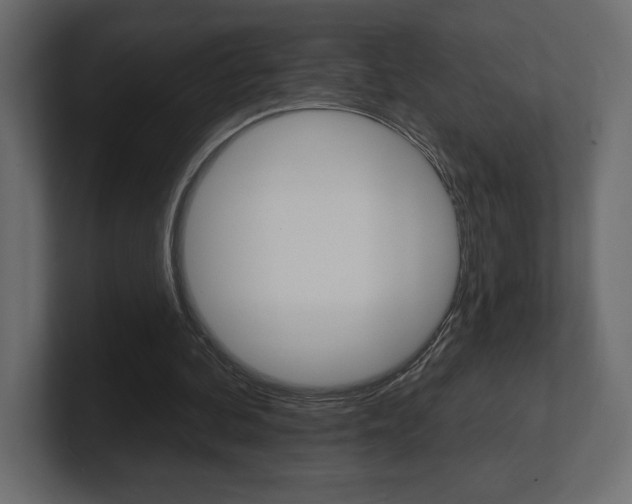 X0000101090292200806261108