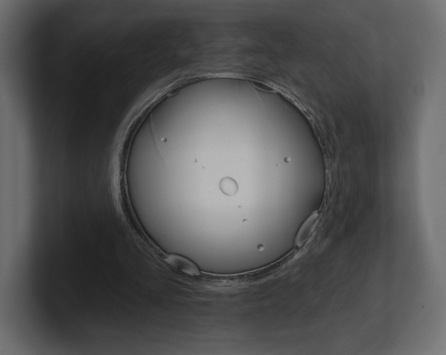 X0000101090293200806261108