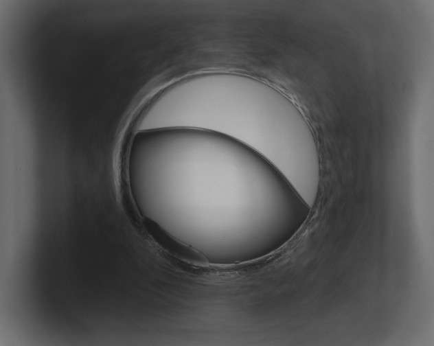 X0000101090296200806261108