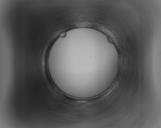 X0000101090298200806261108