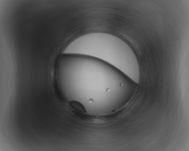 X0000101090308200806261107