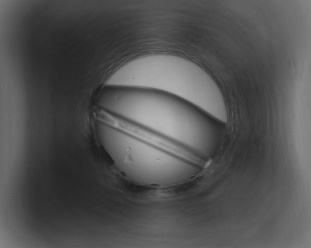 X0000101090320200806261107